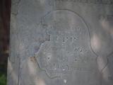 image of grave number 833521